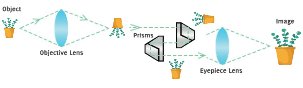 How Binoculars Work